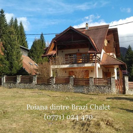 Poiana Dintre Brazi Chalet, Bucegi Panorama 锡纳亚 外观 照片