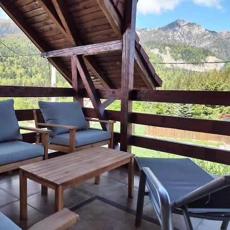 Poiana Dintre Brazi Chalet, Bucegi Panorama 锡纳亚 外观 照片