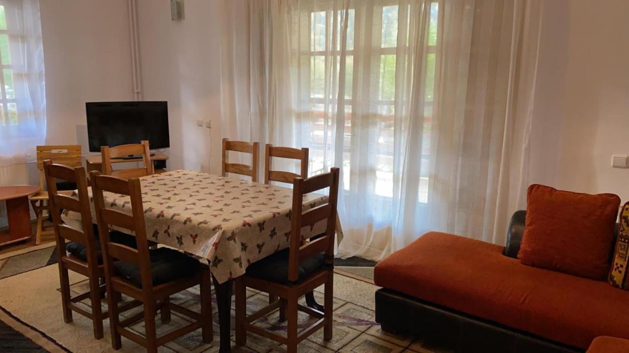 Poiana Dintre Brazi Chalet, Bucegi Panorama 锡纳亚 外观 照片