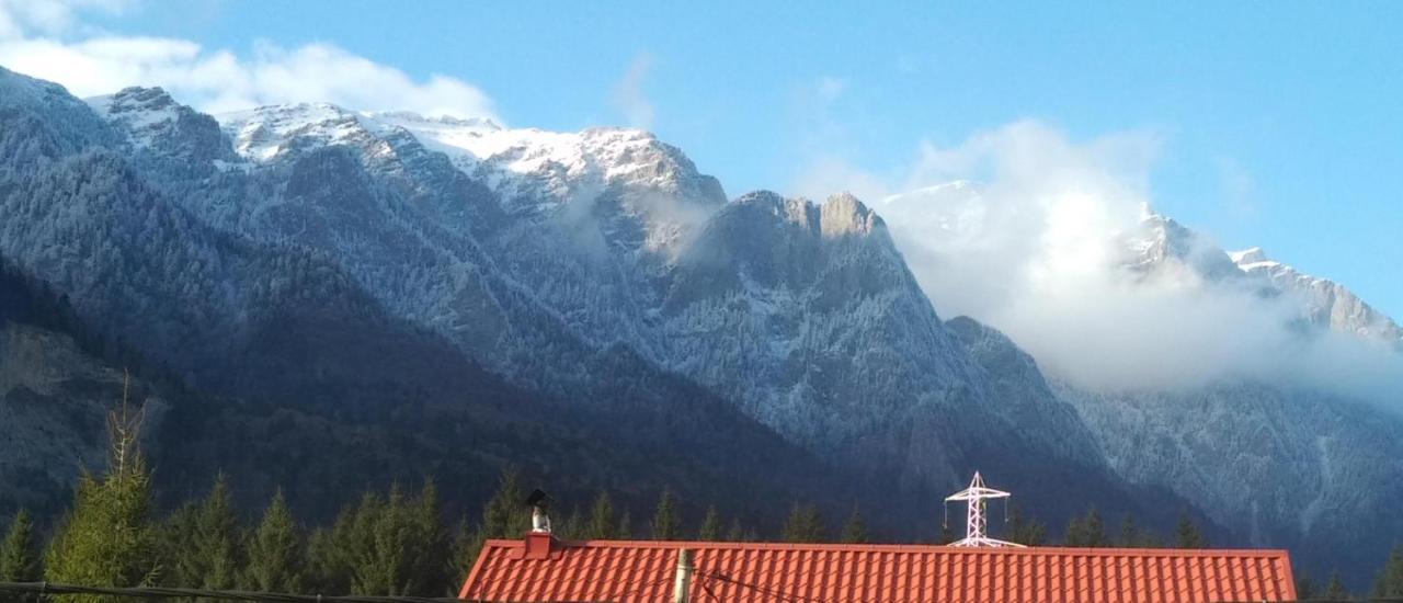 Poiana Dintre Brazi Chalet, Bucegi Panorama 锡纳亚 外观 照片