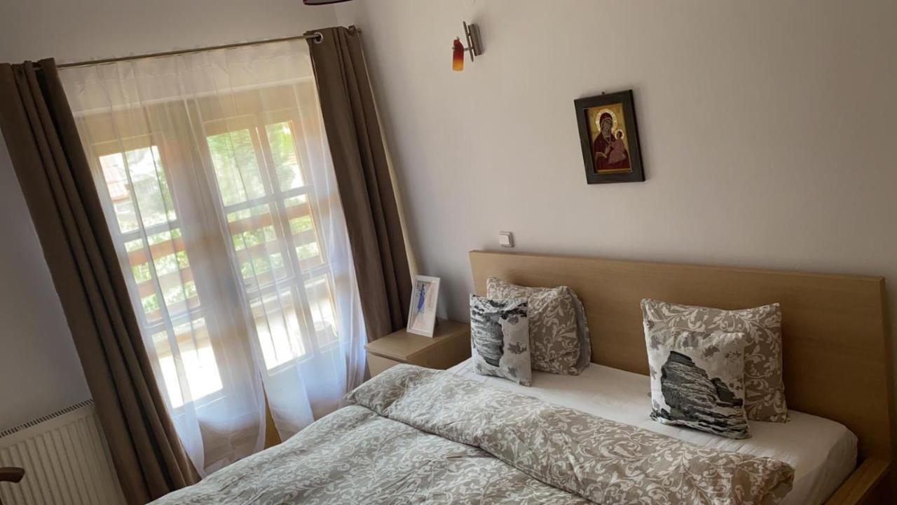 Poiana Dintre Brazi Chalet, Bucegi Panorama 锡纳亚 外观 照片
