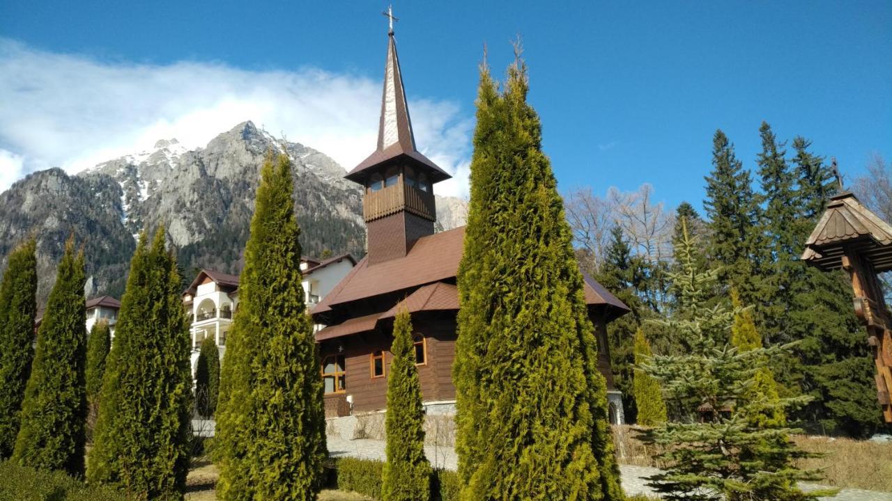 Poiana Dintre Brazi Chalet, Bucegi Panorama 锡纳亚 外观 照片
