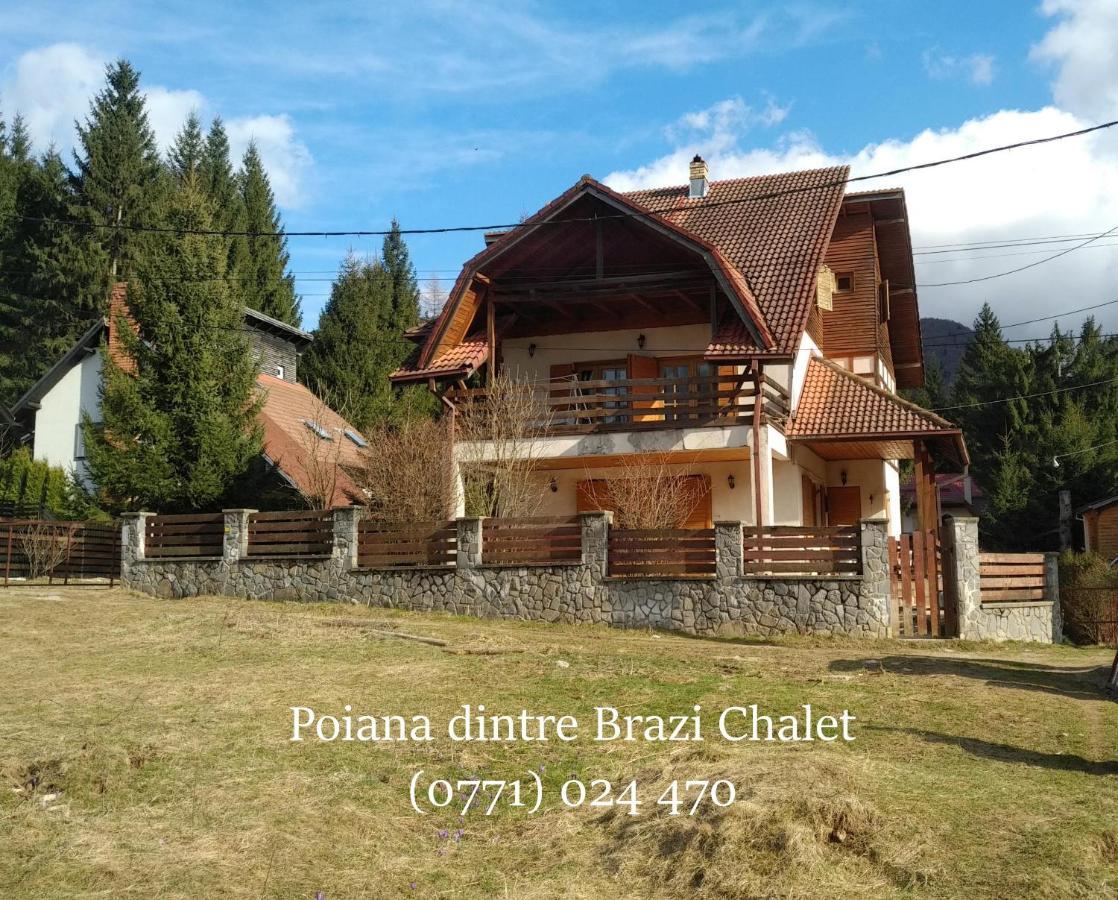 Poiana Dintre Brazi Chalet, Bucegi Panorama 锡纳亚 外观 照片