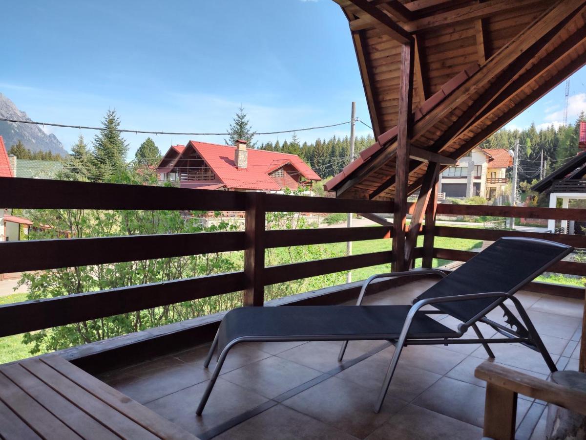 Poiana Dintre Brazi Chalet, Bucegi Panorama 锡纳亚 外观 照片